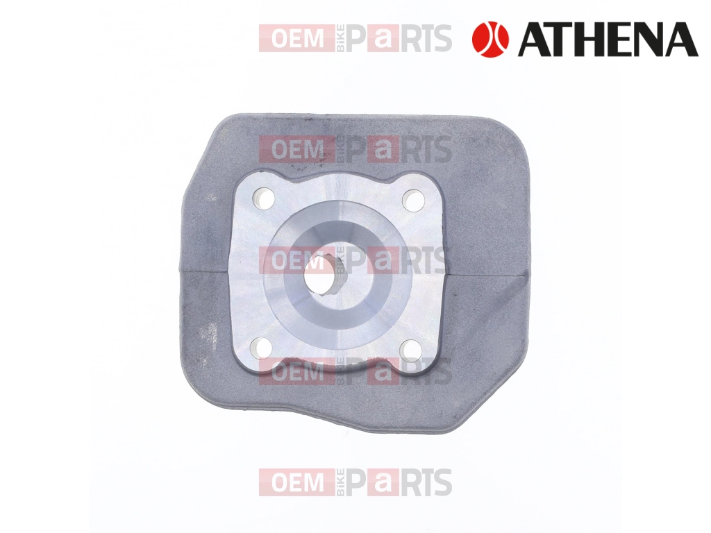 TESTA DIO/GEO D.47,6 im/                          