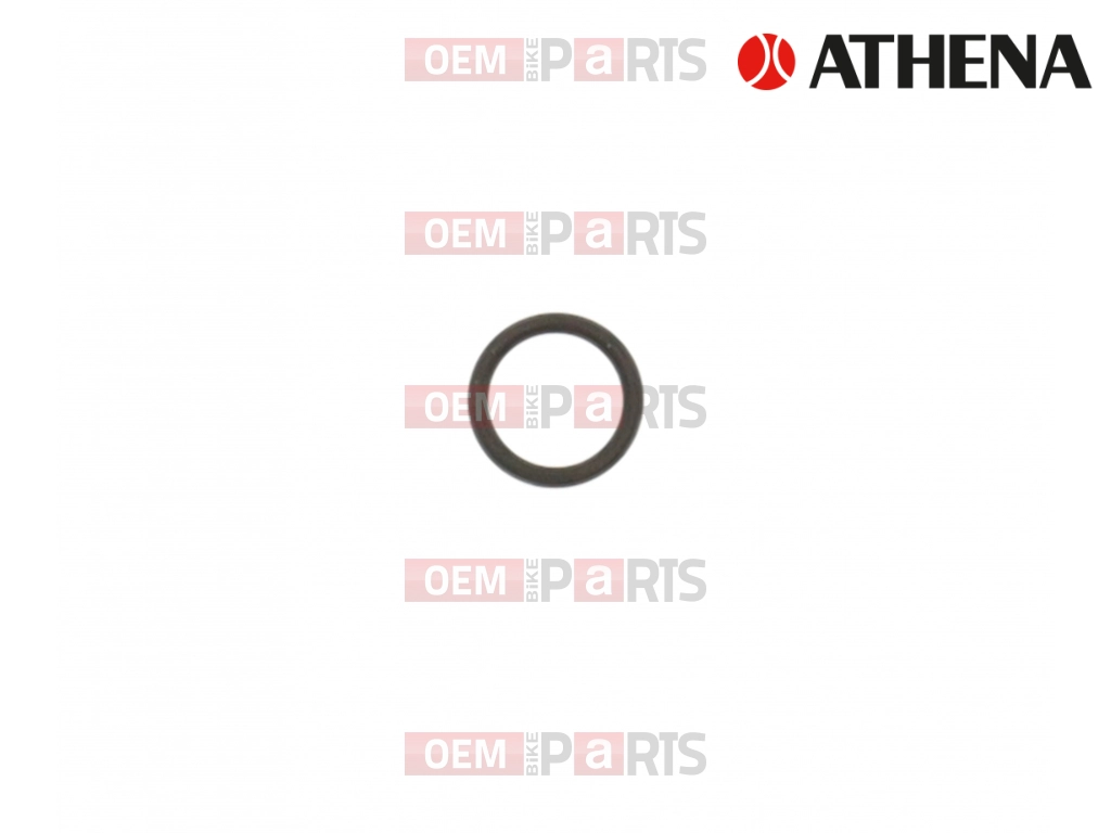 O-Ring (15,88x2,62)