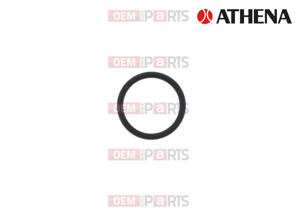 O-Ring (21,9x2,62)