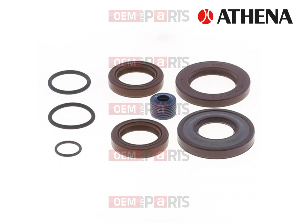 SERIE PARAOLIO HEXAGON 94-99                      