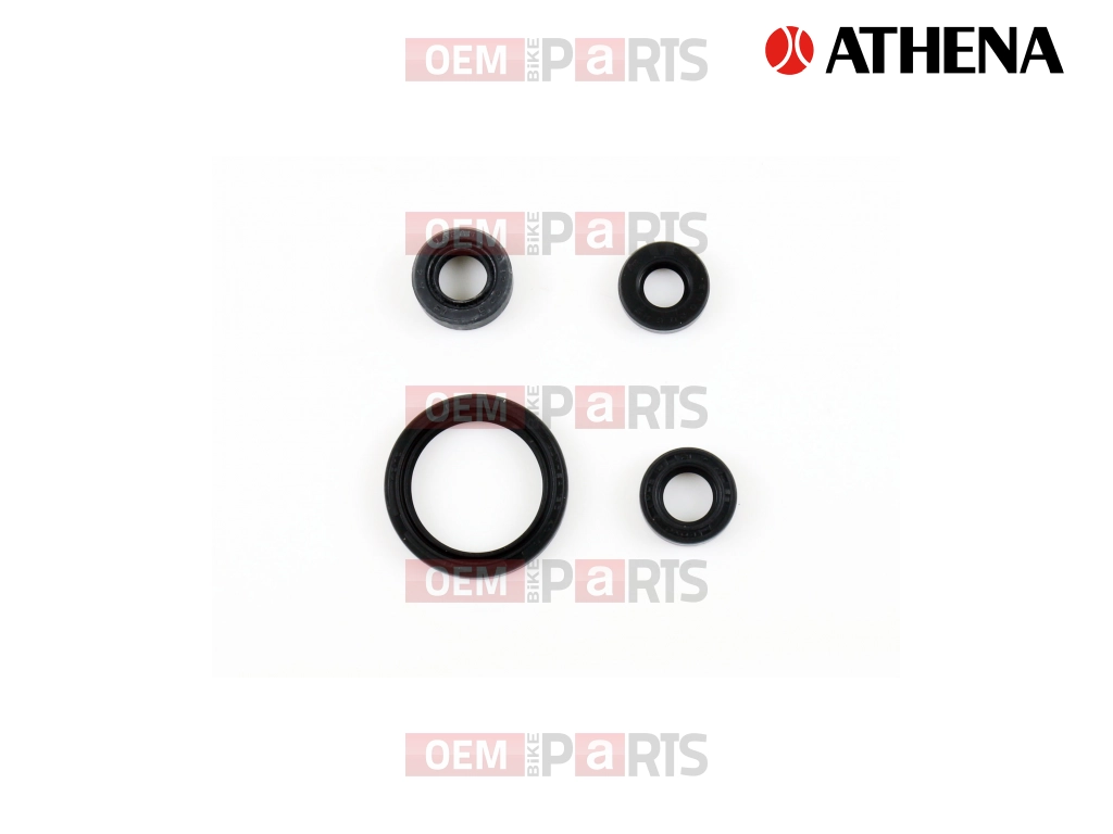 Oil seals kit