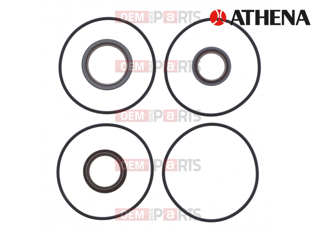CRANK SEALS JOHNSON                               