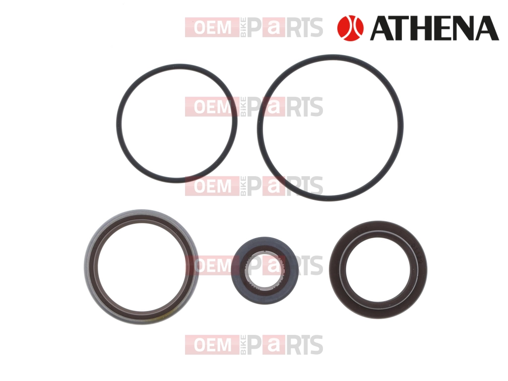 CRANK SEALS JOHNSON                               