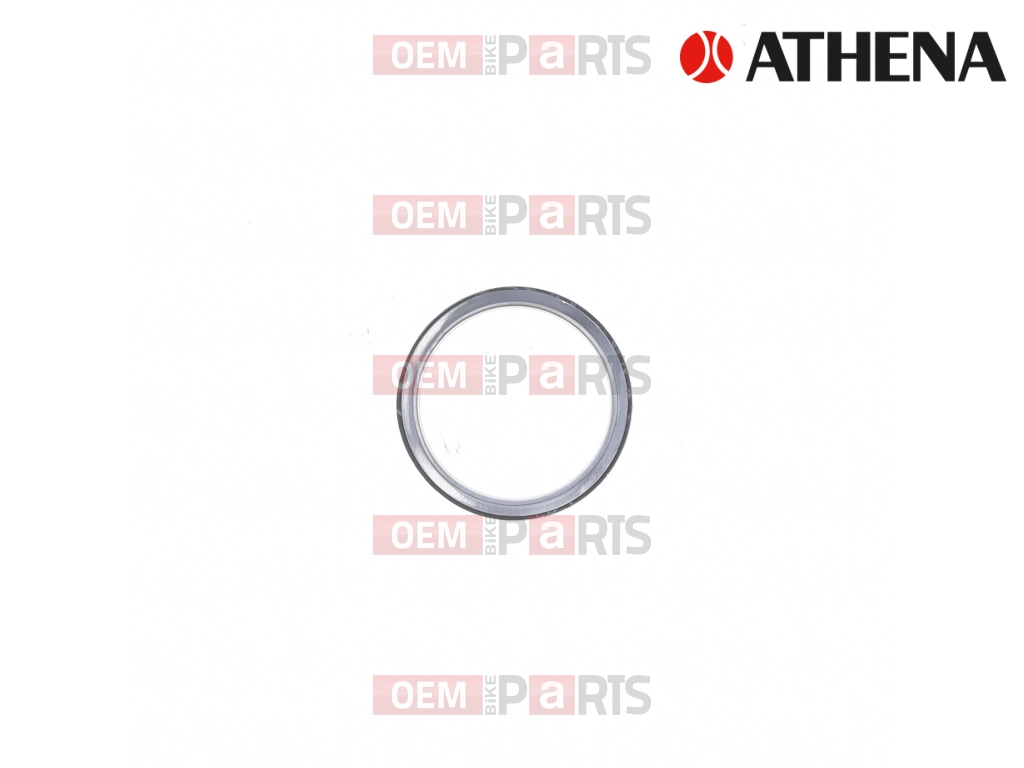 Exhaust Gasket