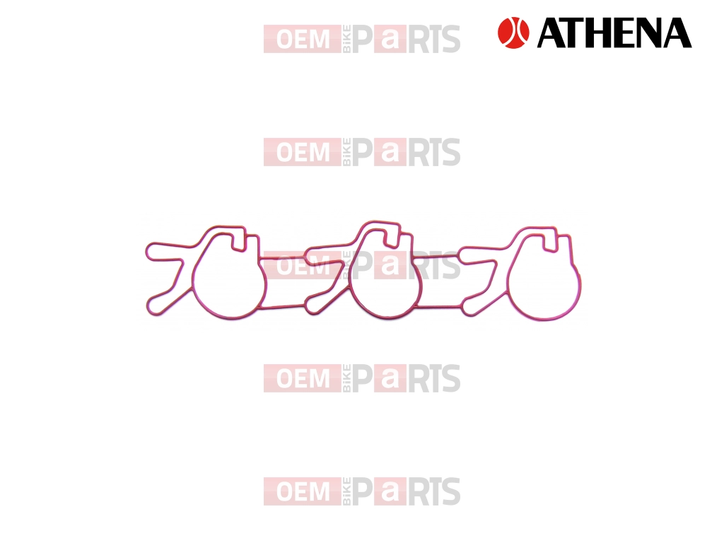 Intake Gasket