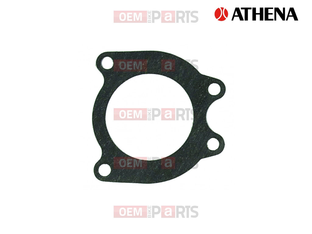 Exhaust Gasket