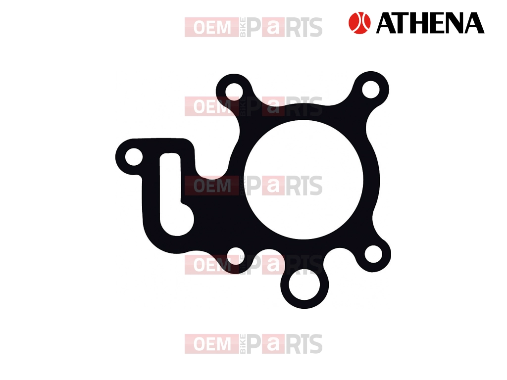 Exhaust Gasket