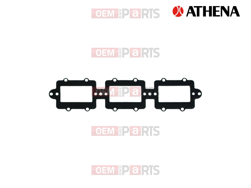 Intake Gasket