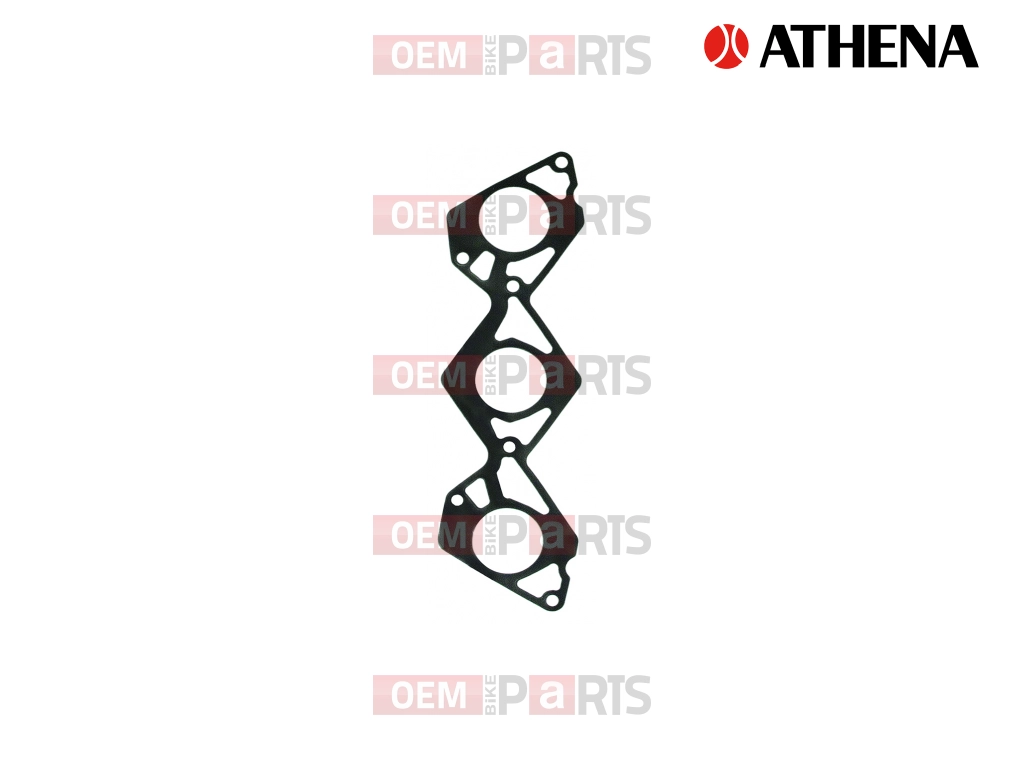 Intake Gasket