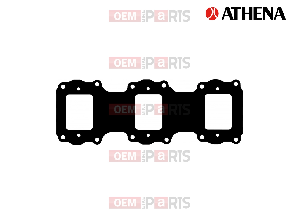Intake Gasket