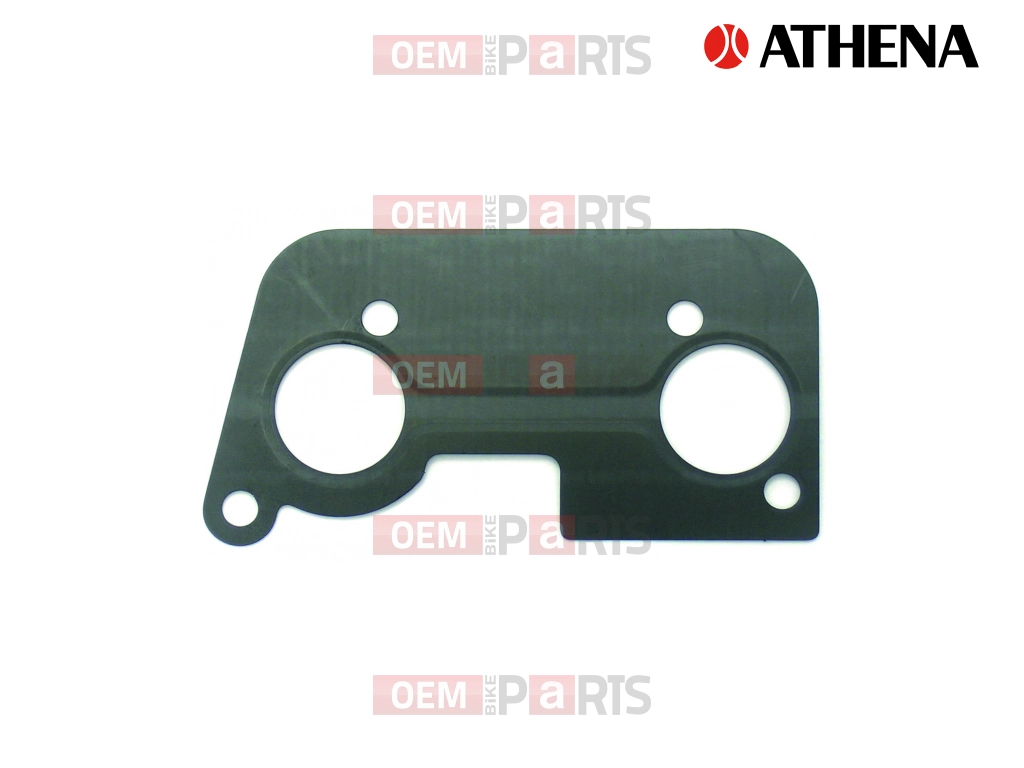 Intake Gasket