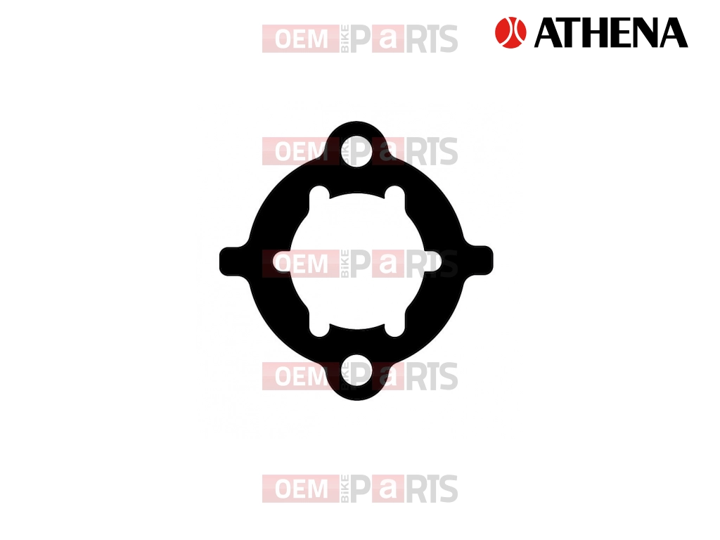 Intake Gasket