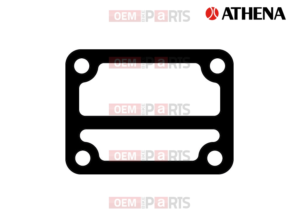 Intake Gasket