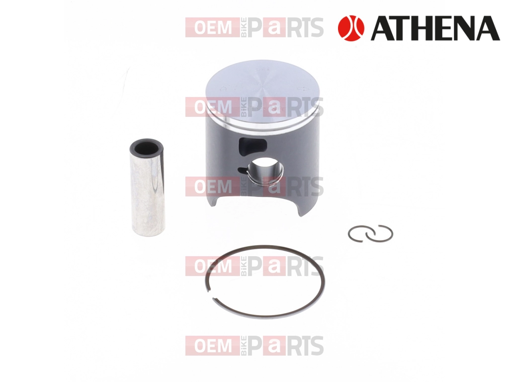 Bat (46.96 mm - C)