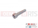 MOTOGUZZI Eldorado 1400 ABS 2 pc - Screw