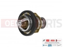 PIAGGIO Thermostat