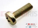 Screw