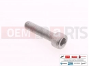 PIAGGIO MP3 400 100 pc - Screw (M6x25)
