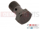 PIAGGIO X9 500 Evolution Oil pipe screw M10x18
