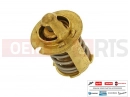 gilera 2010 Runner 50 SP Thermostat