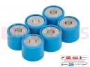 gilera 2011 Runner 200 ST 4T Variator Roll (10,7 g)