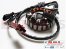 PIAGGIO Beverly 250 Cruiser Stator aprindere