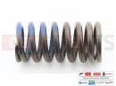 gilera 2011 Fuoco 500 2 kom. - Valve spring