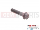 MOTOGUZZI Stelvio (EU) Screw