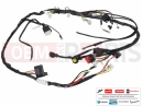 derbi GPR 50 2T Main wiring harness