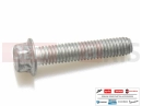 MOTOGUZZI V100 Mandello S E5+ (EU) 5 pc - Šroub