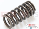 PIAGGIO Liberty 150 Ext. valve spring