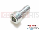 MOTOGUZZI Eldorado 1400 ABS Screw (M7x16)