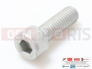 derbi GPR 50 Replica 2 db - Csavar (M8x25)