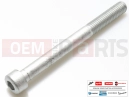 PIAGGIO NRG Power DD 10 db - Csavar (8x85)