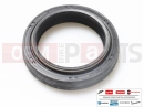 derbi Rambla 300 Gabel Dichtring (K)