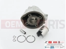 Minarelli AM6 Cylinder kit
