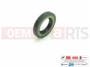 Oil seal