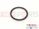 O-Ring (D25x2,5)