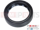 derbi GPR 50 2T Gabel Dichtring