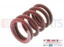 MOTOGUZZI SP 1000 Clutch spring