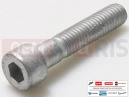 MOTOGUZZI V7 Stone E5+ (EU) 10 PC - Schraube (M8x40)