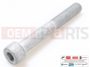 MOTOGUZZI Eldorado 1400 ABS 2 pc - Vis (M8x60)