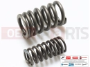 derbi STX 150 Spring kit