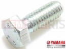 Screw