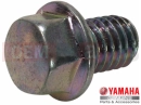 YAMAHA XVS 1300 A Midnight Star XVS1300A (1CS1) 2011 Screw