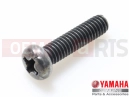 YAMAHA XVS 650 Dragstar XVS650 XVS65M V STAR 650 CUSTOM (5FBA) 2000 Screw