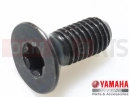 YAMAHA XVS 650 Dragstar XVS650 XVS65M V STAR 650 CUSTOM (5FBA) 2000 Screw