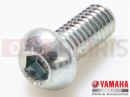 YAMAHA XVS 1300 A Midnight Star XVS1300A (1CS1) 2011 Screw