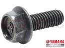 YAMAHA SR 400 SR400 (2RD1) 2014 Csavar