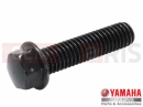 YAMAHA XVS 1300 A Midnight Star XVS1300A (1CS5) 2014 Šroub